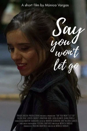 Постер: Say You Won't Let Go