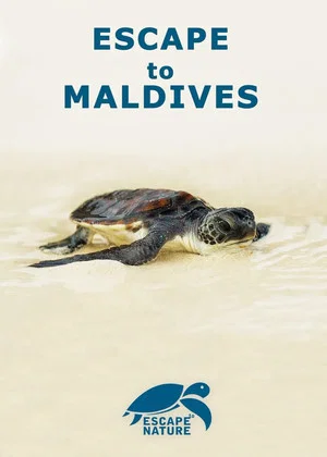 Постер: Escape to Maldives