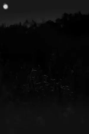 Постер: Incomplete