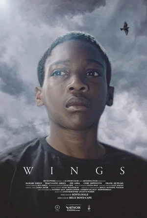 Постер: Wings