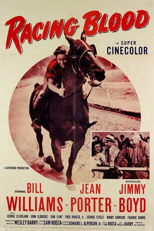 Постер: Racing Blood