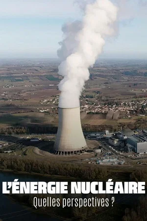 Постер: The Future of Nuclear Energy