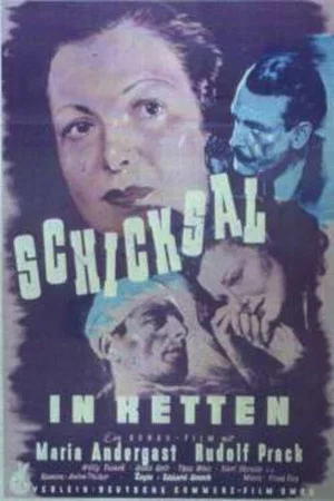 Постер: Der weite Weg