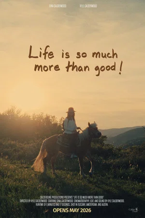 Постер: Life is so much more than good!