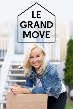Постер: Le grand move