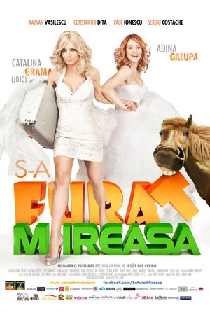 Постер: They stole the bride