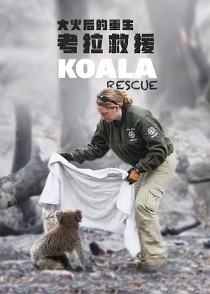 Постер: Koala Rescue