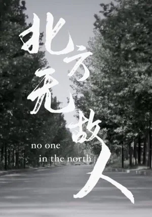 Постер: No One in the North