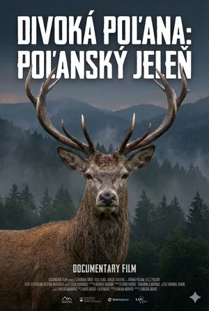 Постер: Divoká Poľana: Poľanský jeleň
