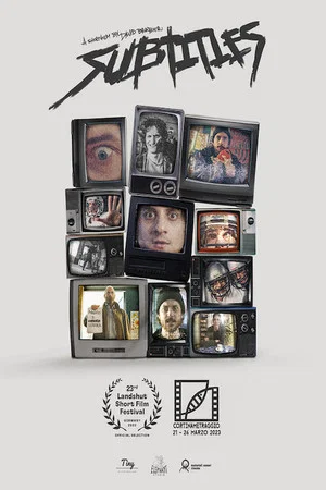Постер: Subtitles
