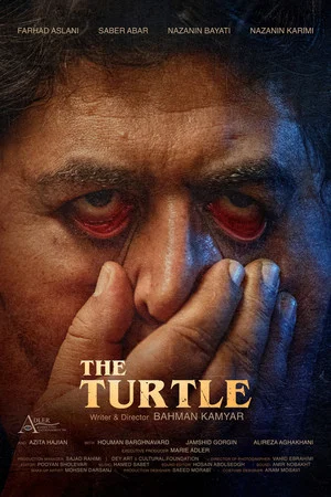 Постер: The Turtle