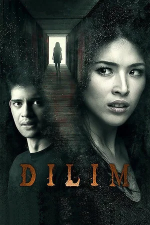 Постер: Dilim