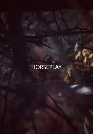 Постер: Horseplay