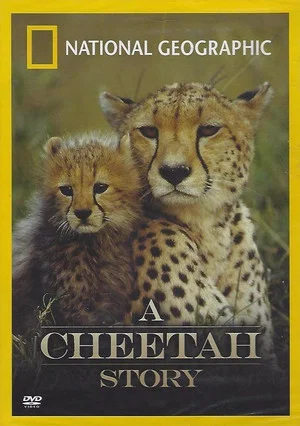 Постер: Cheetah Story