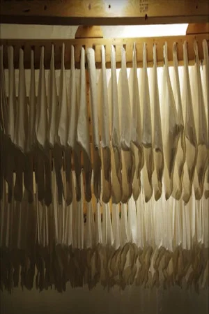 Постер: Chancery Papermaking