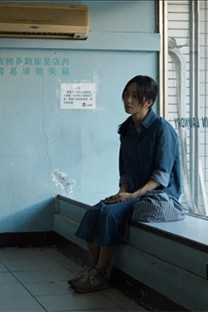 Постер: Pig and Futari Coin Laundry