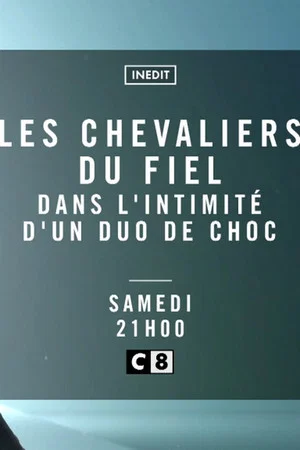 Постер: Les Chevaliers du Fiel - Dans l'intimité d'un duo de choc