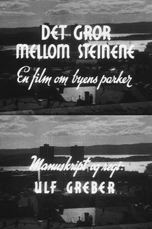 Постер: Oslofilm: Det gror mellom steinene
