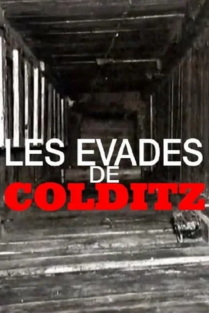 Постер: Colditz - Les évadés de la forteresse d'Hitler