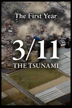 Постер: 3/11 - The Tsunami: The First Year