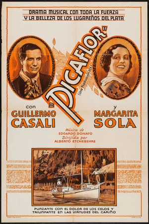 Постер: Picaflor