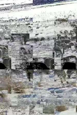 Постер: Diachrony