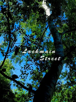 Постер: Lackmain Street