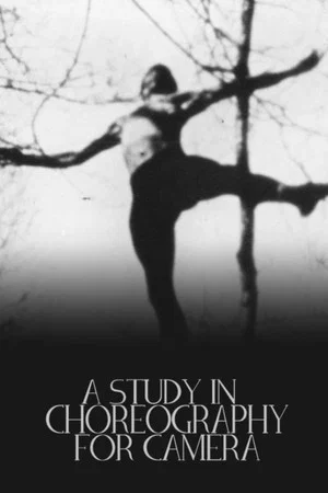 Постер: A Study in Choreography for Camera