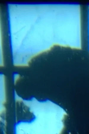Постер: Dog at Window