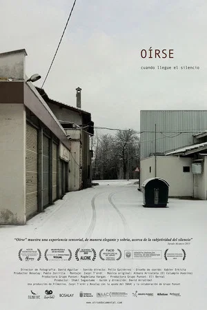 Постер: The Sound Inside