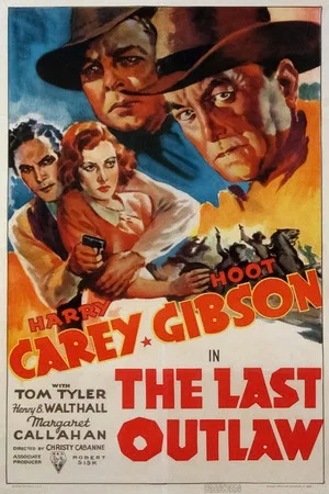Постер: The Last Outlaw