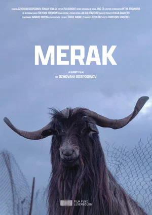 Постер: Merak