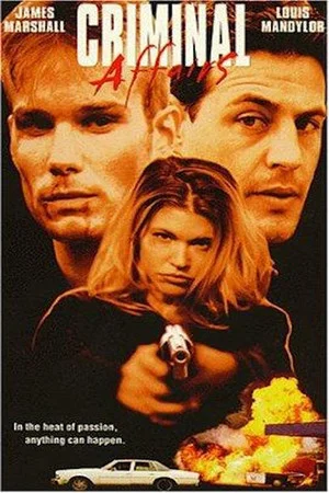 Постер: Criminal Affairs