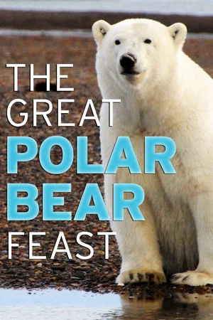 Постер: The Great Polar Bear Feast
