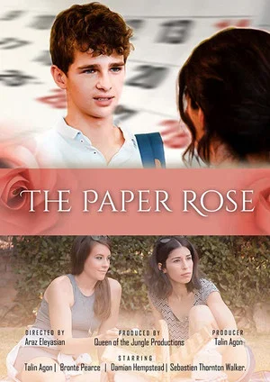 Постер: The Paper Rose