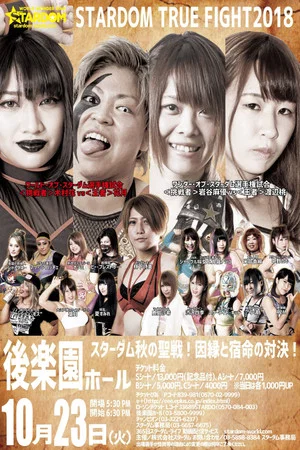 Постер: Stardom True Fight 2018