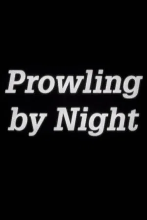 Постер: Prowling by Night