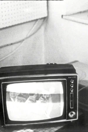 Постер: The Public As Exhibit