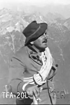 Постер: Climbing the Austrian Alps