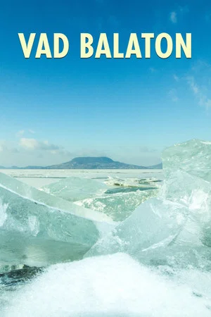 Постер: Balaton