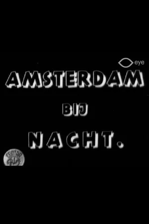Постер: Amsterdam bij nacht