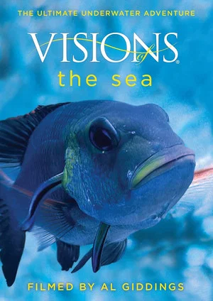 Постер: Visions of the Sea
