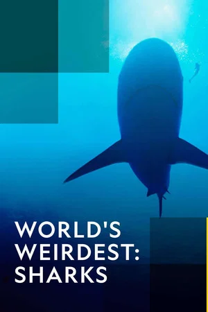 Постер: World's Weirdest: Sharks