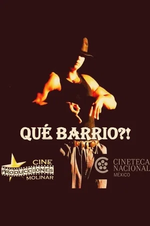 Постер: Que barrio?!