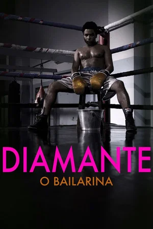 Постер: The Ballerina