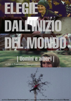 Постер: Elegie dall'inizio del mondo: Uomini e alberi