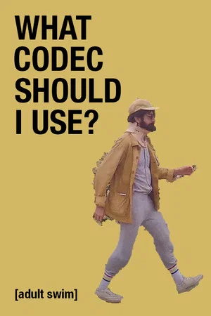 Постер: What Codec Should I Use?