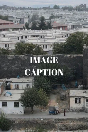 Постер: Image Caption
