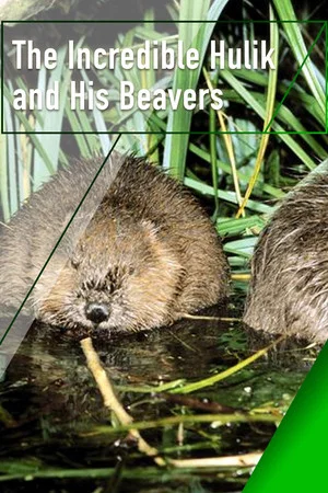 Постер: The Incredible Hulik and His Beavers