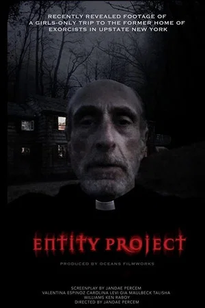 Постер: Entity Project